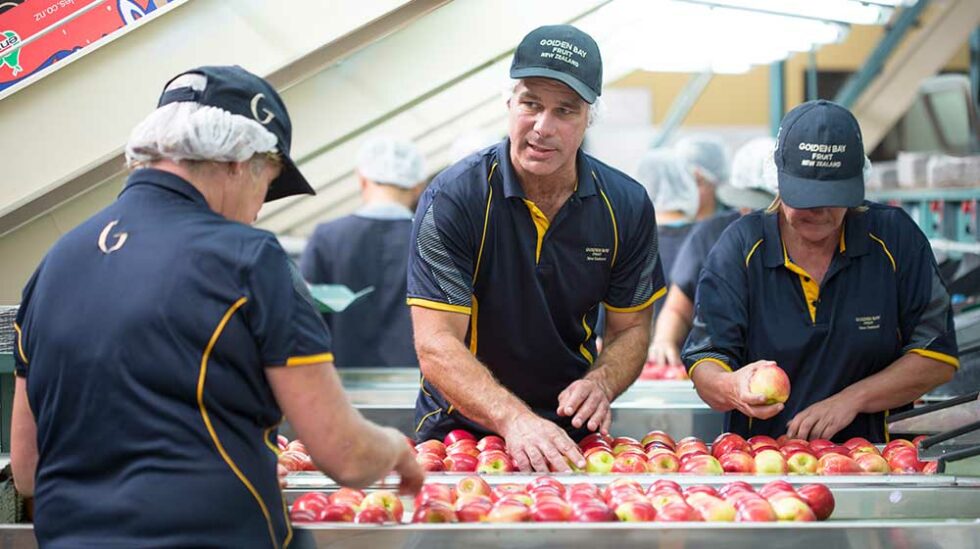 Advanced Cool Chain Process Golden Bay Fruit Orchards, NZ