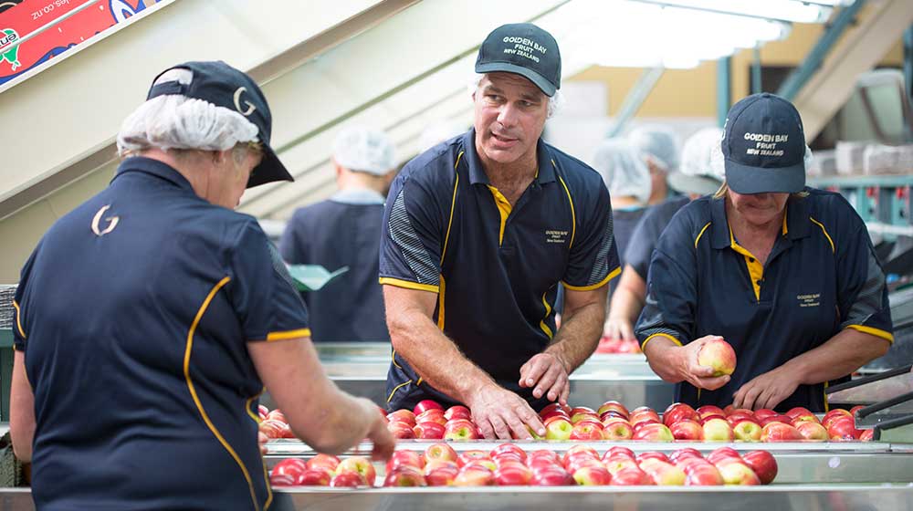 Trev-and-Team-Grading-Apples