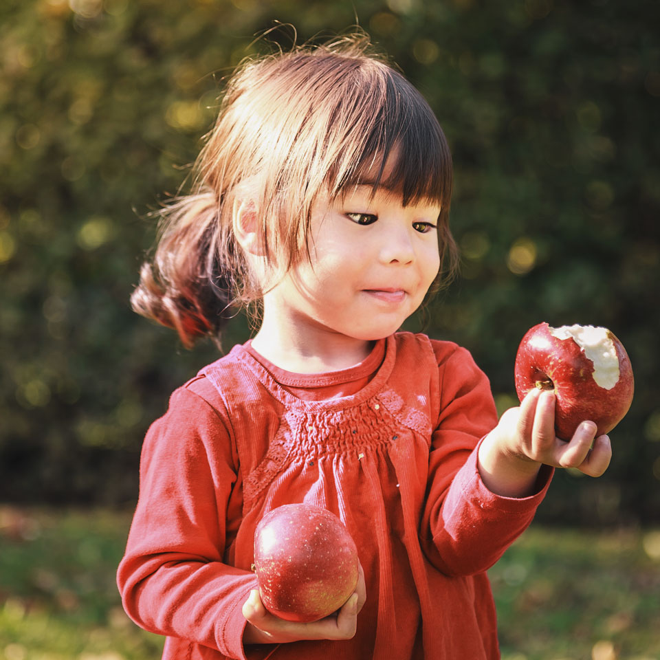 Healt-and-Nutrition-Hero