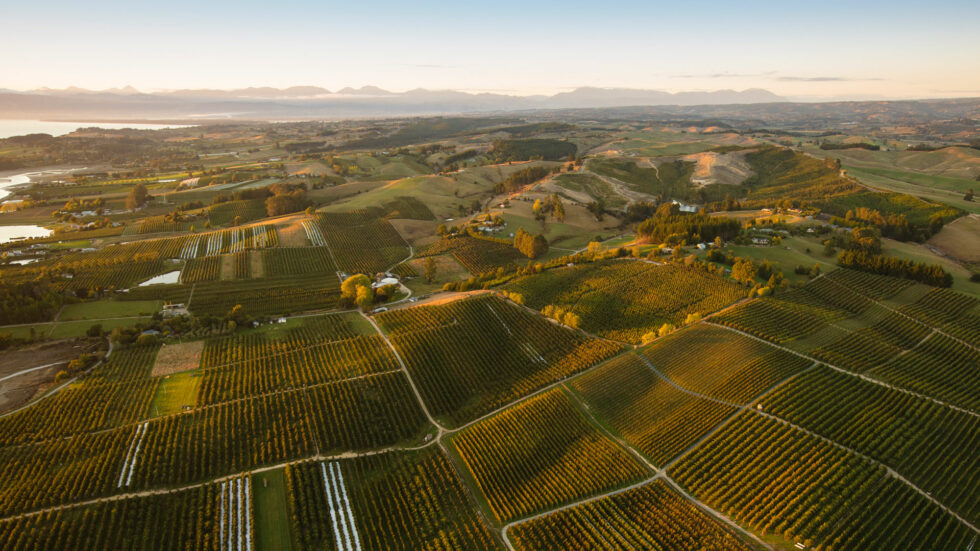 Environmental Protection Golden Bay Fruit Orchards, NZ