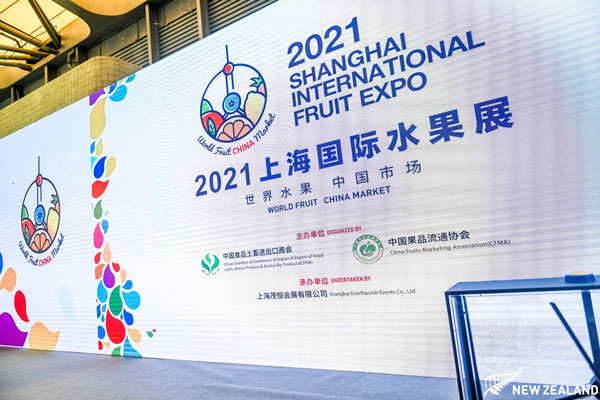 Shanghai-Expo-6