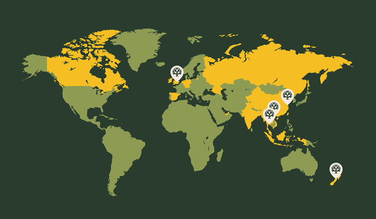 GBF - World Map-2