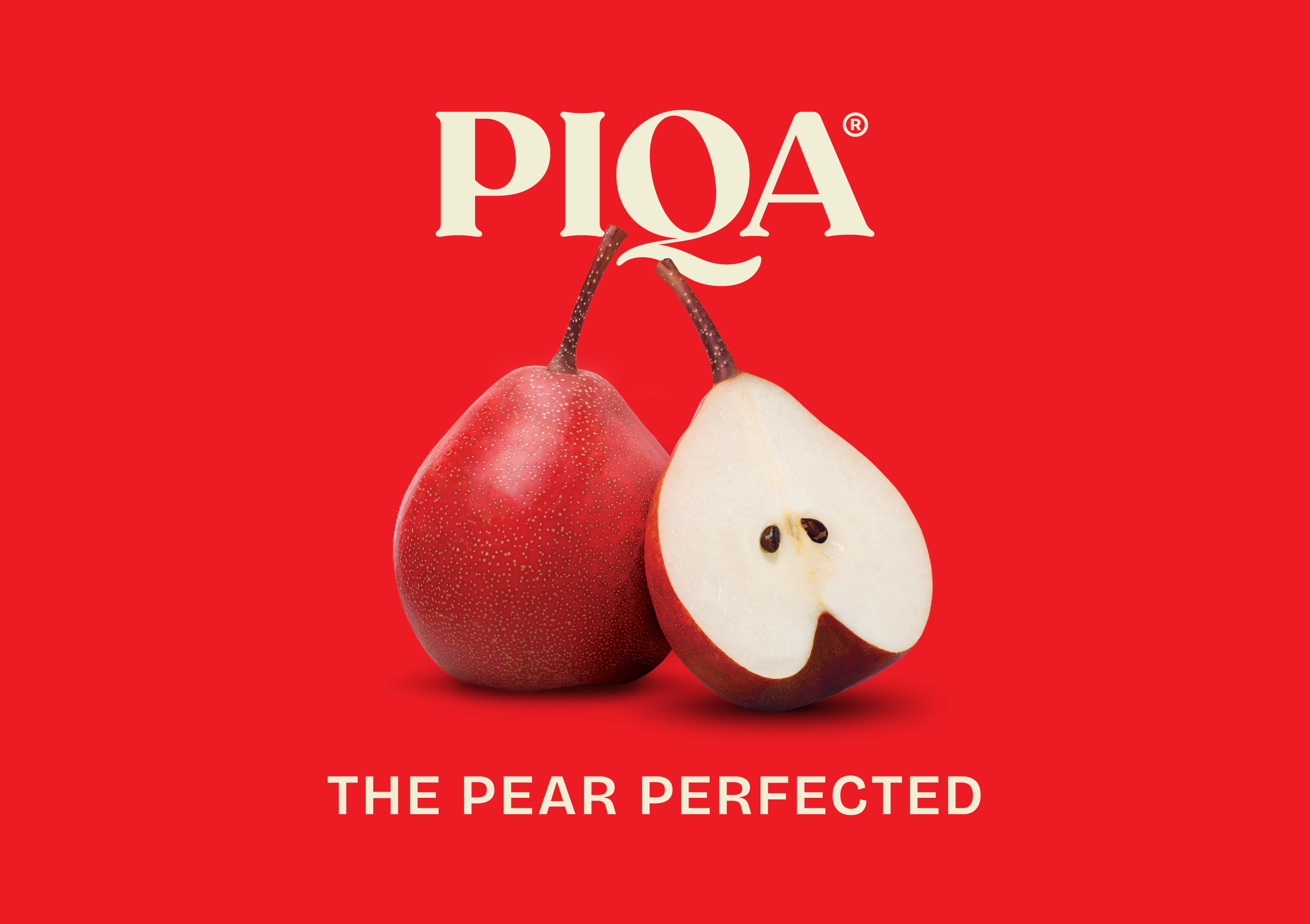 new-piqa-image-for-portfolio-2